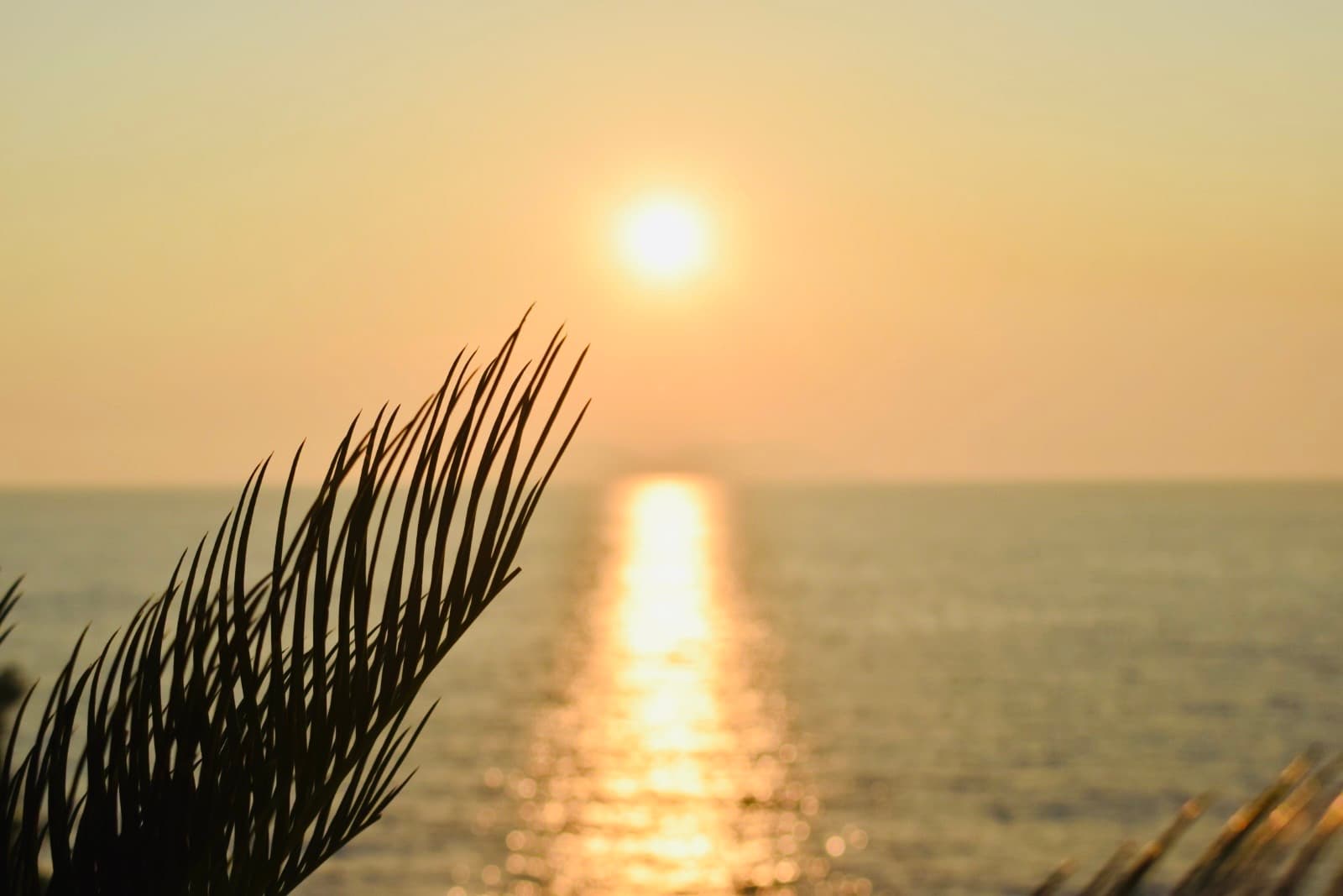 Aquamarine Apartment 2 — main photo